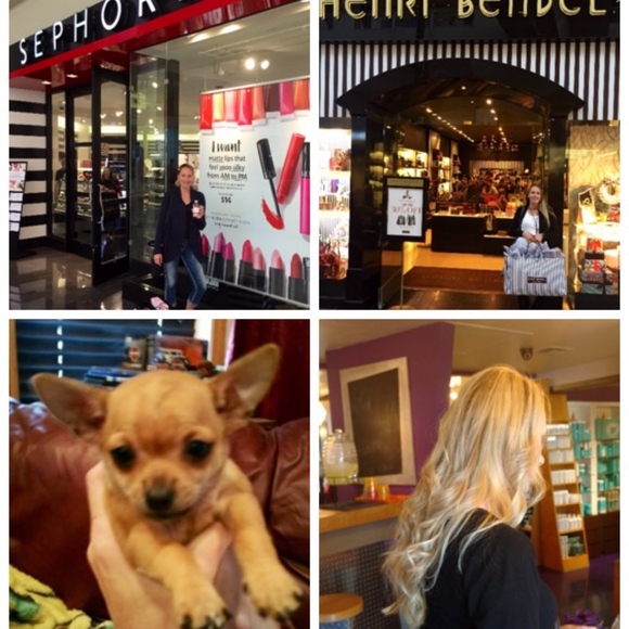 Meet your Posher, Rosie Mae - Picture 5 of 6